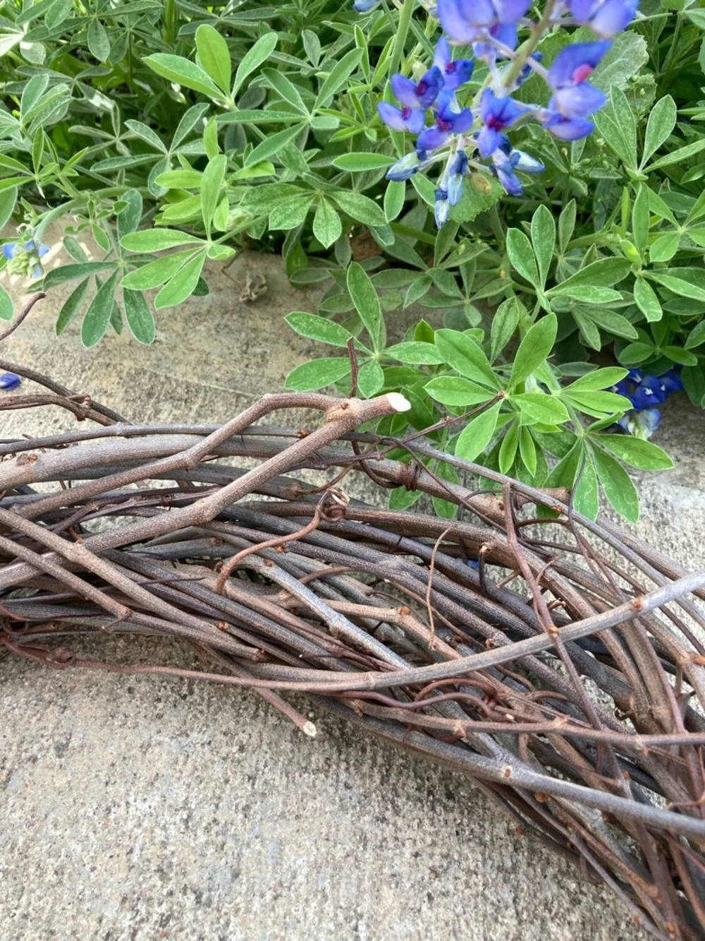 16” Grapevine Wreath Base - Rustic Home Holiday Decor For DIY Crafting